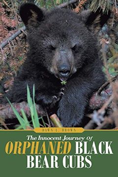 portada The Innocent Journey of Orphaned Black Bear Cubs (en Inglés)