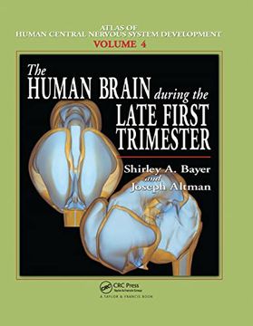portada The Human Brain During the Late First Trimester (en Inglés)