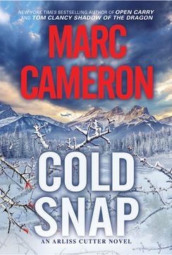 portada Cold Snap: An Action Packed Novel of Suspense (en Inglés)