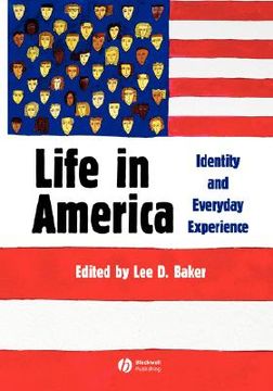 portada life in america: identity and everyday experience (en Inglés)