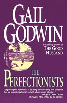 portada The Perfectionists (in English)