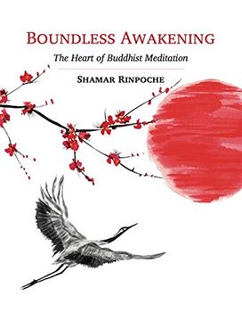 portada Boundless Awakening: The Heart of Buddhist Meditation 
