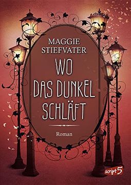 portada Wo das Dunkel Schläft (Band 4): Entdecke die Spannende Mischung aus Fantasy, Romantik und Spannung - Fantasyroman ab 14 Jahren (in German)
