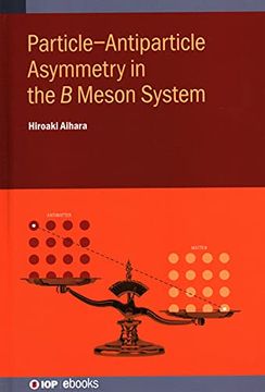 portada Particle-Antiparticle Asymmetry in the Meson System (Iop Ebooks) (in English)