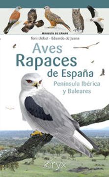 portada Aves Rapaces de España, Península Ibérica y Baleares