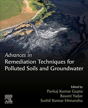 portada Advances in Remediation Techniques for Polluted Soils and Groundwater (en Inglés)