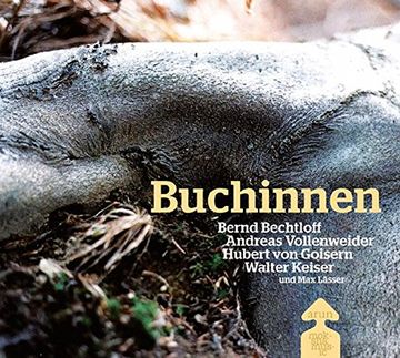 portada Buchinnen (in German)