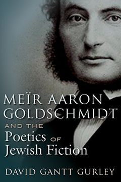 portada Meïr Aaron Goldschmidt and the Poetics of Jewish Fiction (Judaic Traditions in Literature, Music, and Art) (en Inglés)