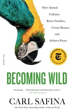 portada Becoming Wild: How Animal Cultures Raise Families, Create Beauty, and Achieve Peace (en Inglés)