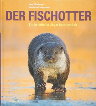 portada Der Fischotter: Ein Heimlicher Jäger Kehrt Zurück (en Alemán)