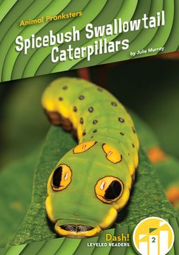 portada Spicebush Swallowtail Caterpillars (Animal Pranksters: Dash! Leveled Readers, Level 2) 