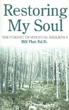 portada restoring my soul: the pursuit of spiritual resilience (en Inglés)