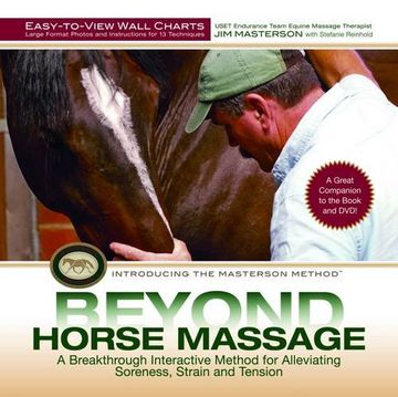 portada Beyond Horse Massage Wall Charts: Large-Format Photos and Step-By-Step Instructions for 13 Techniques 