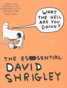 portada what the hell are you doing?: the essential david shrigley