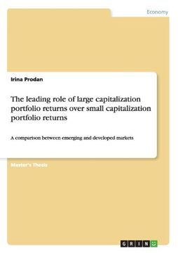 portada The leading role of large capitalization portfolio returns over small capitalization portfolio returns