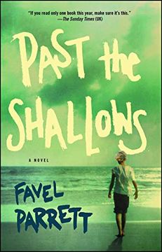 portada Past the Shallows: A Novel 