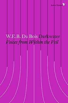 portada Darkwater: Voices From Within the Veil (Radical Thinkers) (en Inglés)