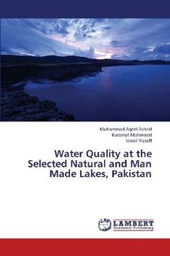 portada Water Quality at the Selected Natural and Man Made Lakes, Pakistan