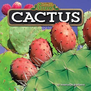 portada Cactus 