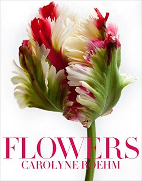 portada Flowers (in English)