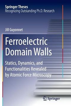 portada Ferroelectric Domain Walls: Statics, Dynamics, and Functionalities Revealed by Atomic Force Microscopy (en Inglés)