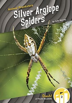 portada Silver Argiope Spiders (en Inglés)