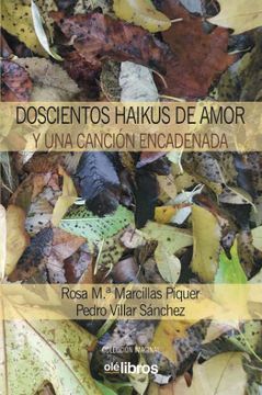portada Doscientos Haikus de Amor y una Canción Encadenada (in Spanish)