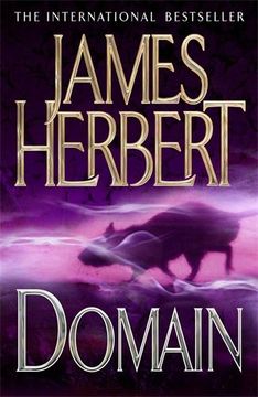 Domain (en Inglés)