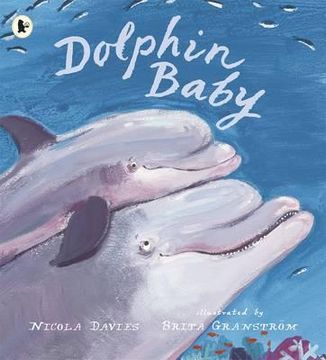 portada dolphin baby. nicola davies (en Inglés)
