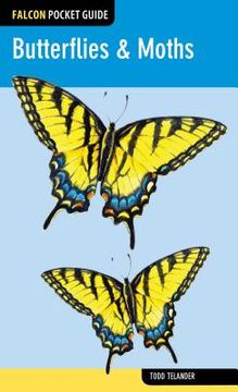 portada falcon pocket guide: butterflies & moths