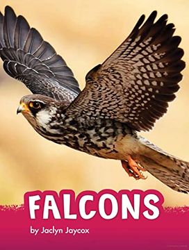 portada Falcons