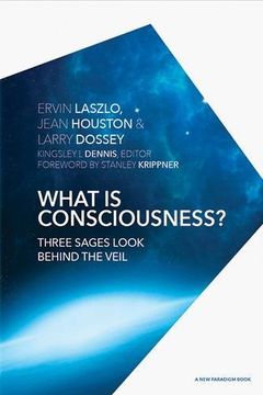 portada What is Consciousness?: Three Sages Look Behind the Veil (A New Paradigm Book)