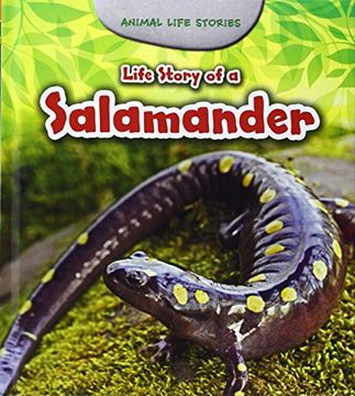 portada Life Story of a Salamander (Young Explorer: Animal Life Stories) (in English)