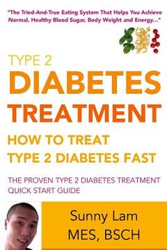 portada Type 2 Diabetes Treatment: How To Treat Type 2 Diabetes Fast Quick Start Guide (en Inglés)