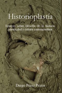 portada Historioplastía Ensayos sobre filosofía de la historia, plasticidad y cultura contemporánea (in Spanish)