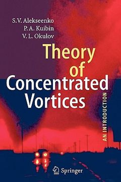 portada theory of concentrated vortices: an introduction (in English)