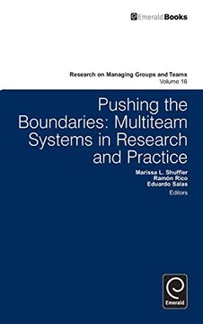 portada Pushing the Boundaries: Multiteam Systems in Research and Practice (Research on Managing Groups and Teams, 16) (in English)