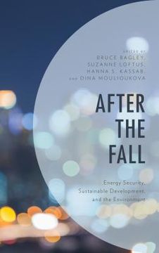 portada After the Fall: Energy Security, Sustainable Development, and the Environment (en Inglés)