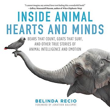 portada Inside Animal Hearts and Minds: Bears That Count, Goats That Surf, and Other True Stories of Animal Intelligence and Emotion