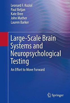 portada Large-Scale Brain Systems and Neuropsychological Testing: An Effort to Move Forward (Springerbriefs in Neuroscience)