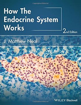 portada How the Endocrine System Works