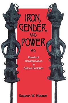 portada Iron, Gender, and Power: Rituals of Transformation in African Societies (African Systems of Thought) (en Inglés)