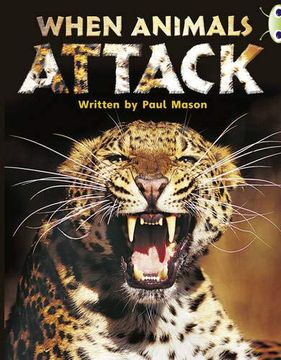 portada Bug Club Independent non Fiction Year two Purple a When Animals Attack (en Inglés)