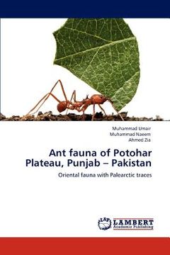 portada ant fauna of potohar plateau, punjab - pakistan (en Inglés)