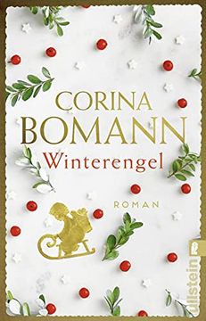 portada Winterengel: Roman (en Alemán)
