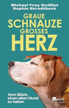 portada Graue Schnauze, Großes Herz de Sophie; Frey Dodillet Strodtbeck(Rowohlt Taschenbuch Verla) (en Alemán)