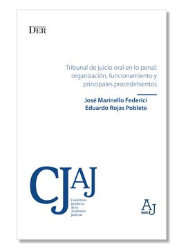 portada Tribunal de Juicio Oral en lo Penal: Organización, Funcionamiento y Principales Procedimientos (in Spanish)