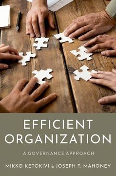 portada Efficient Organization: A Governance Approach (en Inglés)