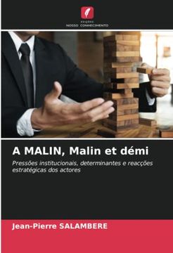 portada A Malin, Malin et Démi: Pressões Institucionais, Determinantes e Reacções Estratégicas dos Actores