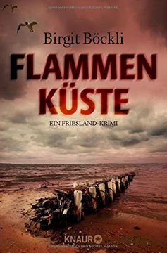 portada Flammenküste: Ein Friesland-Krimi 